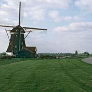 Windmills, Tweemanspolder